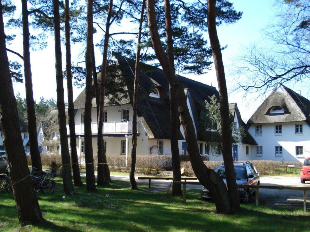 Zingst Achtern Diek 12D Elly Εξωτερικό φωτογραφία