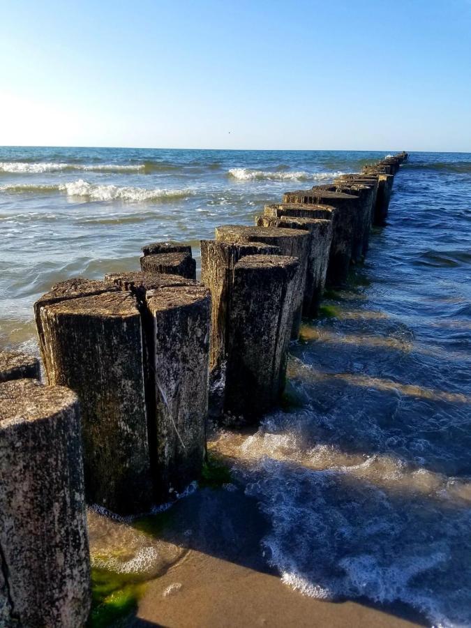 Zingst Achtern Diek 12D Elly Εξωτερικό φωτογραφία