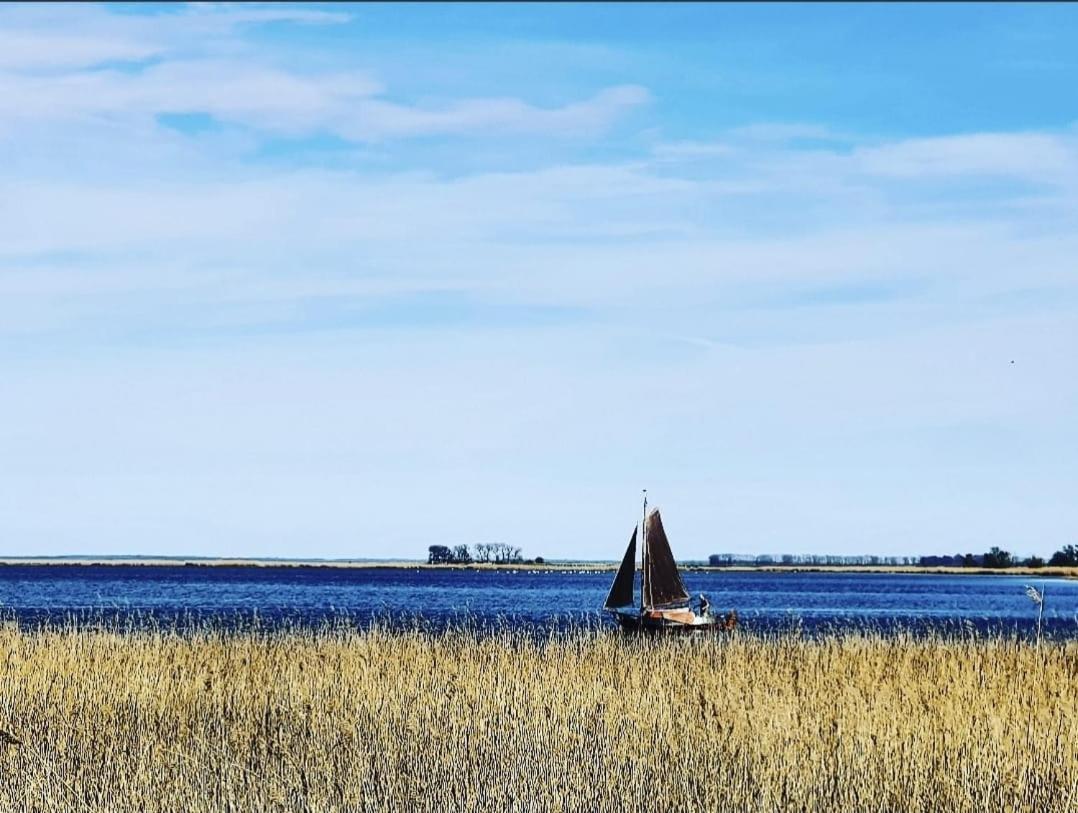 Zingst Achtern Diek 12D Elly Εξωτερικό φωτογραφία