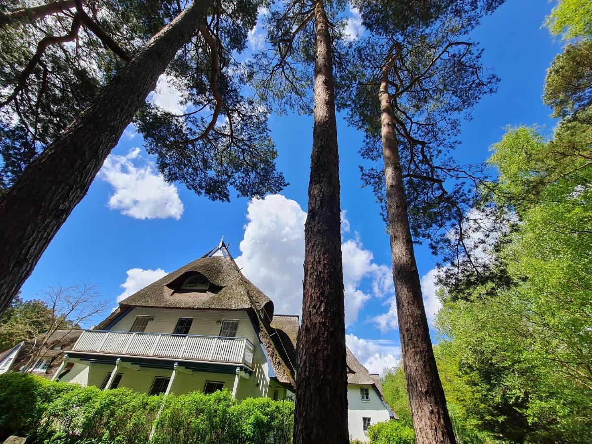 Zingst Achtern Diek 12D Elly Εξωτερικό φωτογραφία
